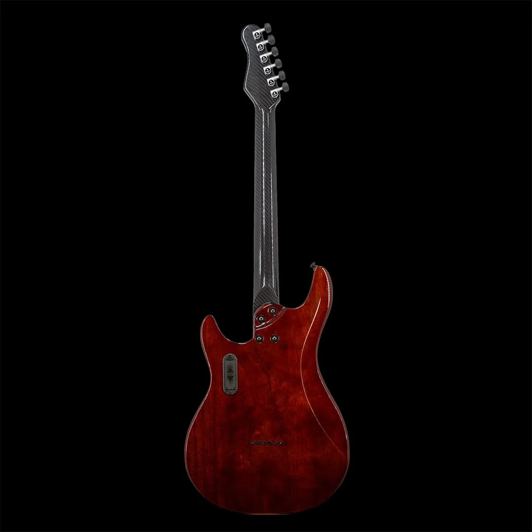 Artemis Custom - Image 2