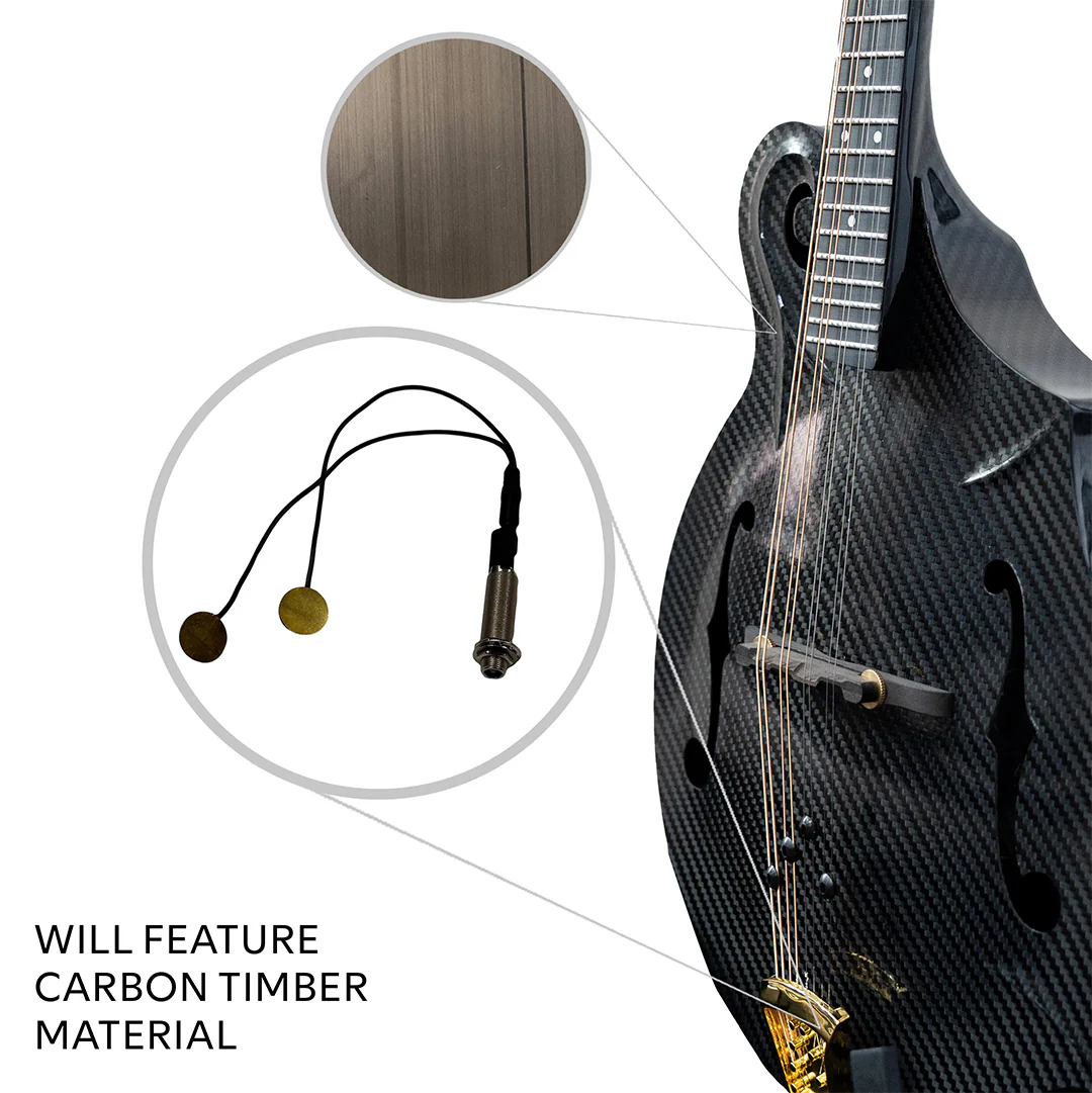 Carbon Fiber F-Style Mandolin - Image 24