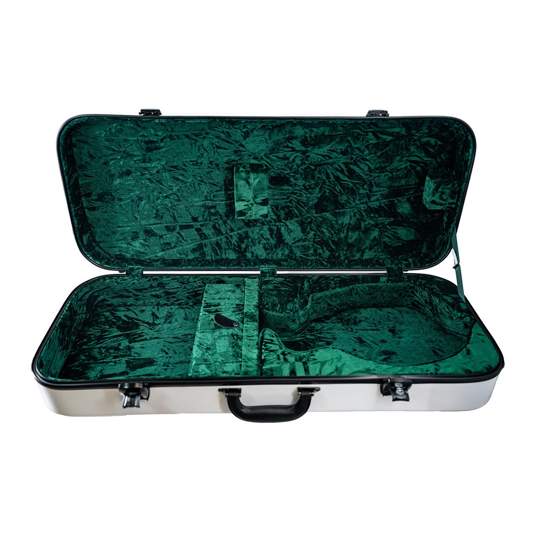 Mandolin Hard Case - Image 4