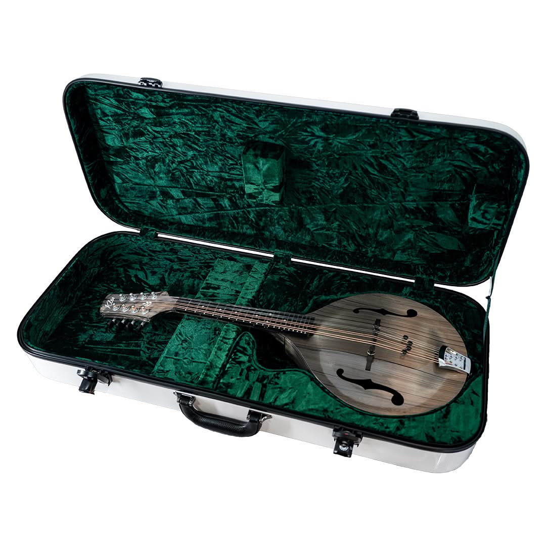 Mandolin Hard Case - Image 5