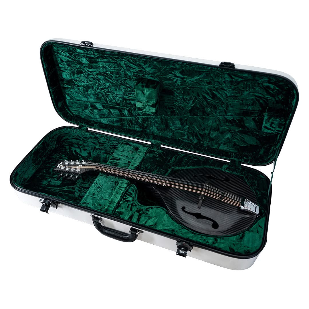 Mandolin Hard Case - Image 6