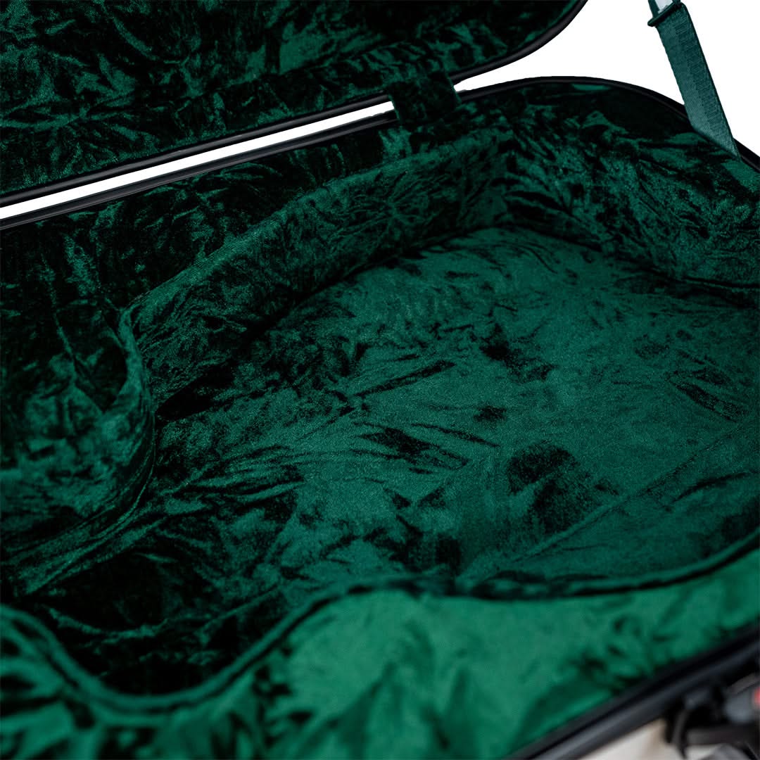 Mandolin Hard Case - Image 7