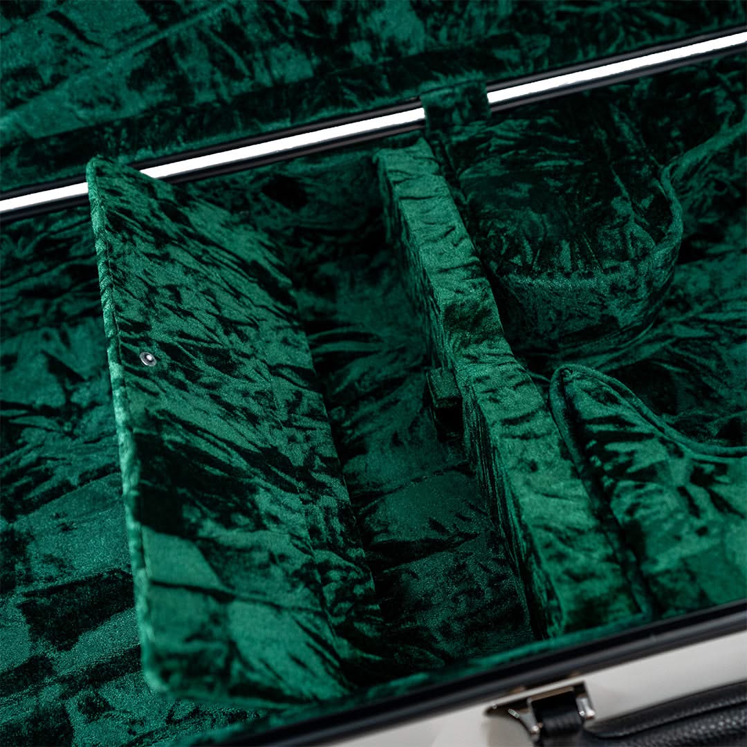 Mandolin Hard Case - Image 8